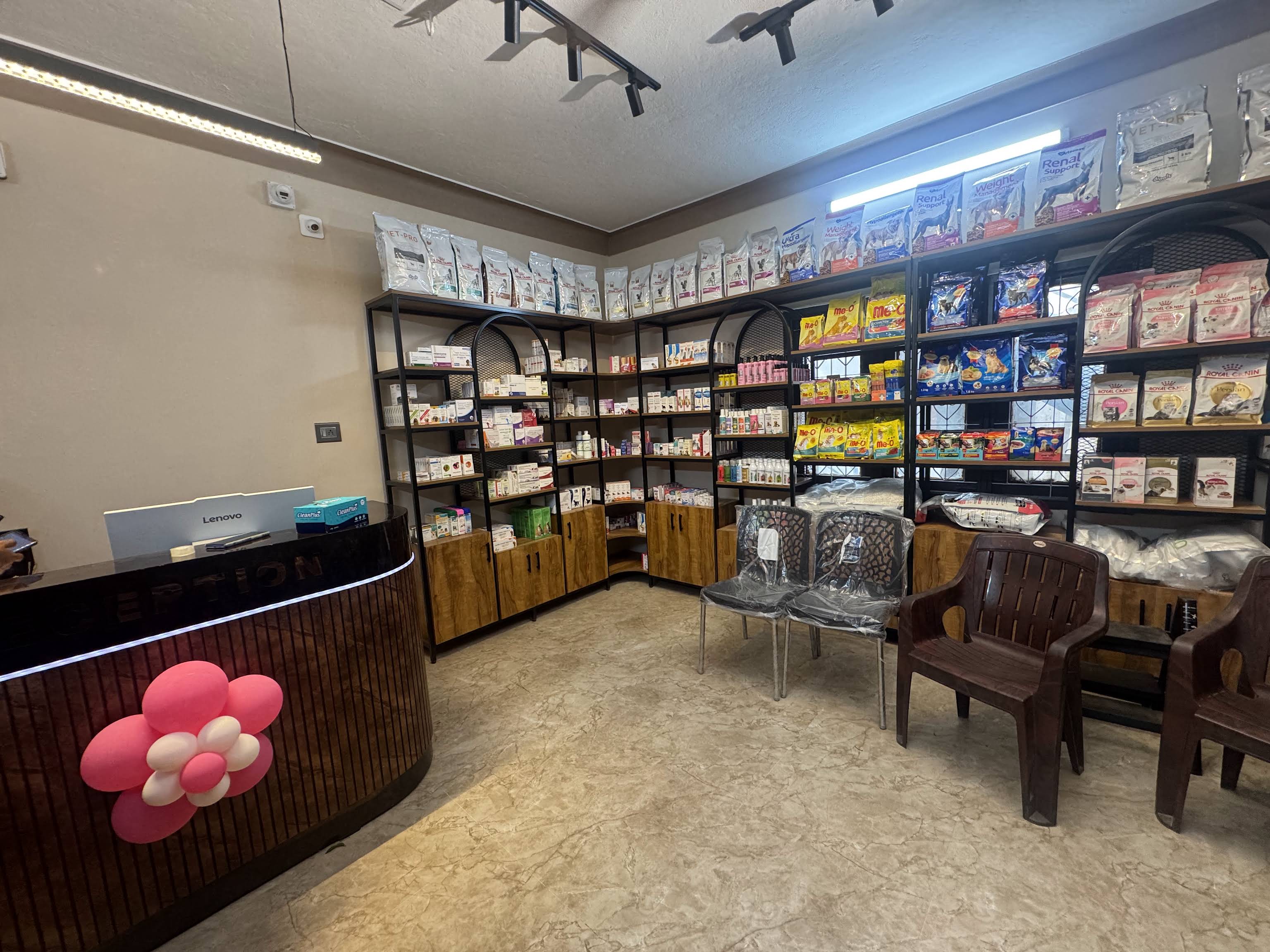 Our Modern Veterinary Clinic