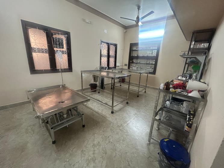 Comfortable Examination Room